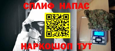 ГАЛЛЮЦИНОГЕННЫЕ ГРИБЫ Заволжье