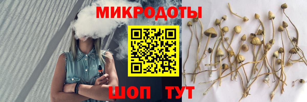 Псилоцибиновые грибы мицелий  Псилоцибиновые грибы Psilocybe  как найти   Кудрово  Вход с VPN 