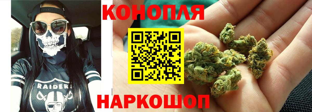 Конопля план Кудрово